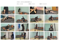 【YQDP0014】柳洋特工搜查官