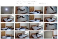 YT1494 【海语】【卡菲】法国定拍：间谍危机 下