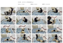 【YJYS0011】小月的家教老师